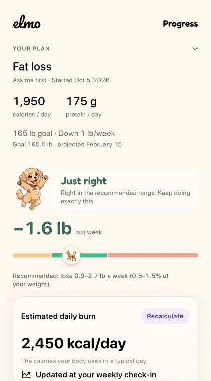 Elmo's Progress screen: a fat loss plan of 1,950 calories and 175 g protein a day, pace marked Just right, estimated daily burn 2,450 kcal